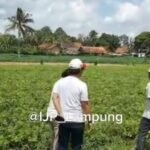 Berpraktek Hilirisasi di Lampung Menuju Industri Manufaktur