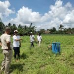 Koperasi IJP Maju Sejahtera Gandeng Kelompok Tani Lampung Timur, Kembangkan Magot Jadi Pupuk Cair dan Komoditas Bernilai Ekonomi