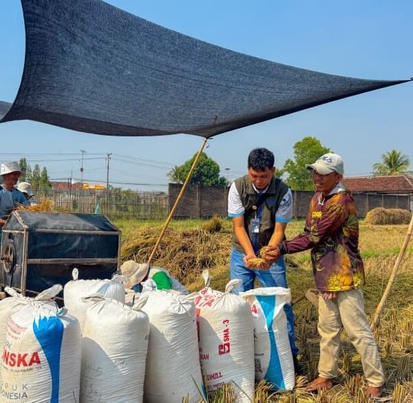 Cetak Rekor Historis, Pengadaan Pangan…