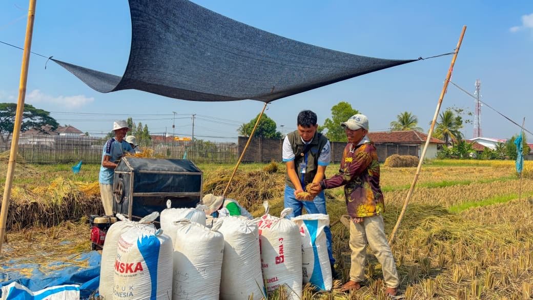Cetak Rekor Historis, Pengadaan Pangan Nasional BULOG Tembus 4,1 Juta Ton